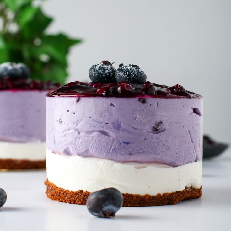 Blueberry Mousse