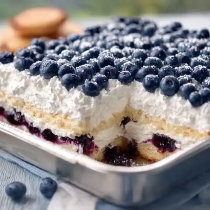 Blueberry Angel Food Cake